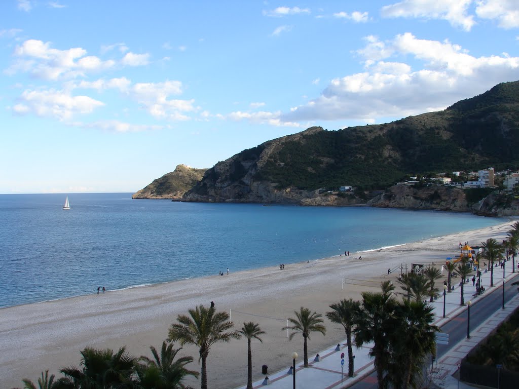 Albir58