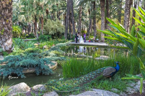 Jardin huerto del cura
